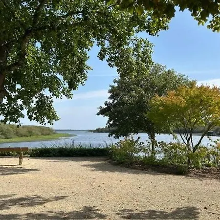 Villa Cote&lac New With Heated Pool And Summer Bar, Sleeps 8 Mimizan